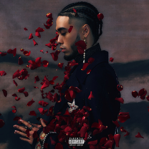 真实国产老太太日B
