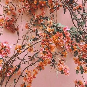 真实国产老太太日B
